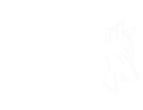 Tópico Disruptivo - caixa postal e contabilidade